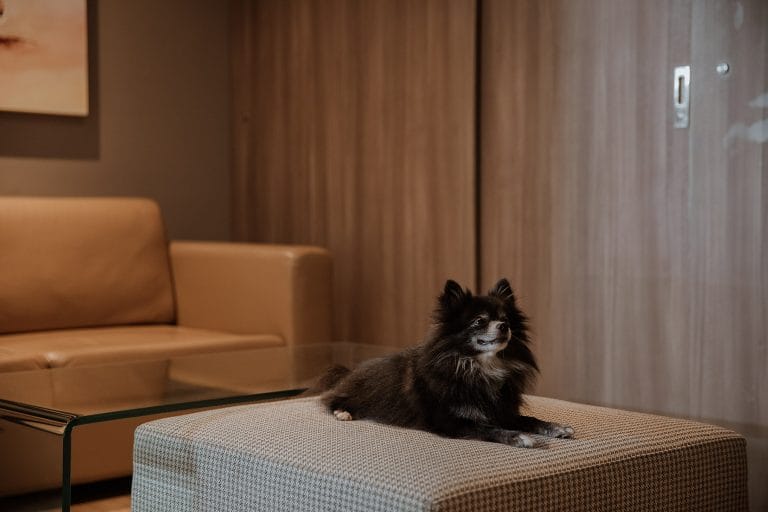 binn-hotel-junior-suite-deluxe