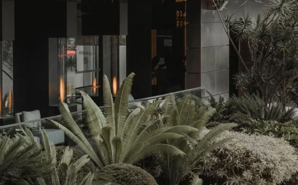 Jardín con helechos y fachada oscura de BINN Hotel, hotel de lujo en El Poblado, Medellín.

