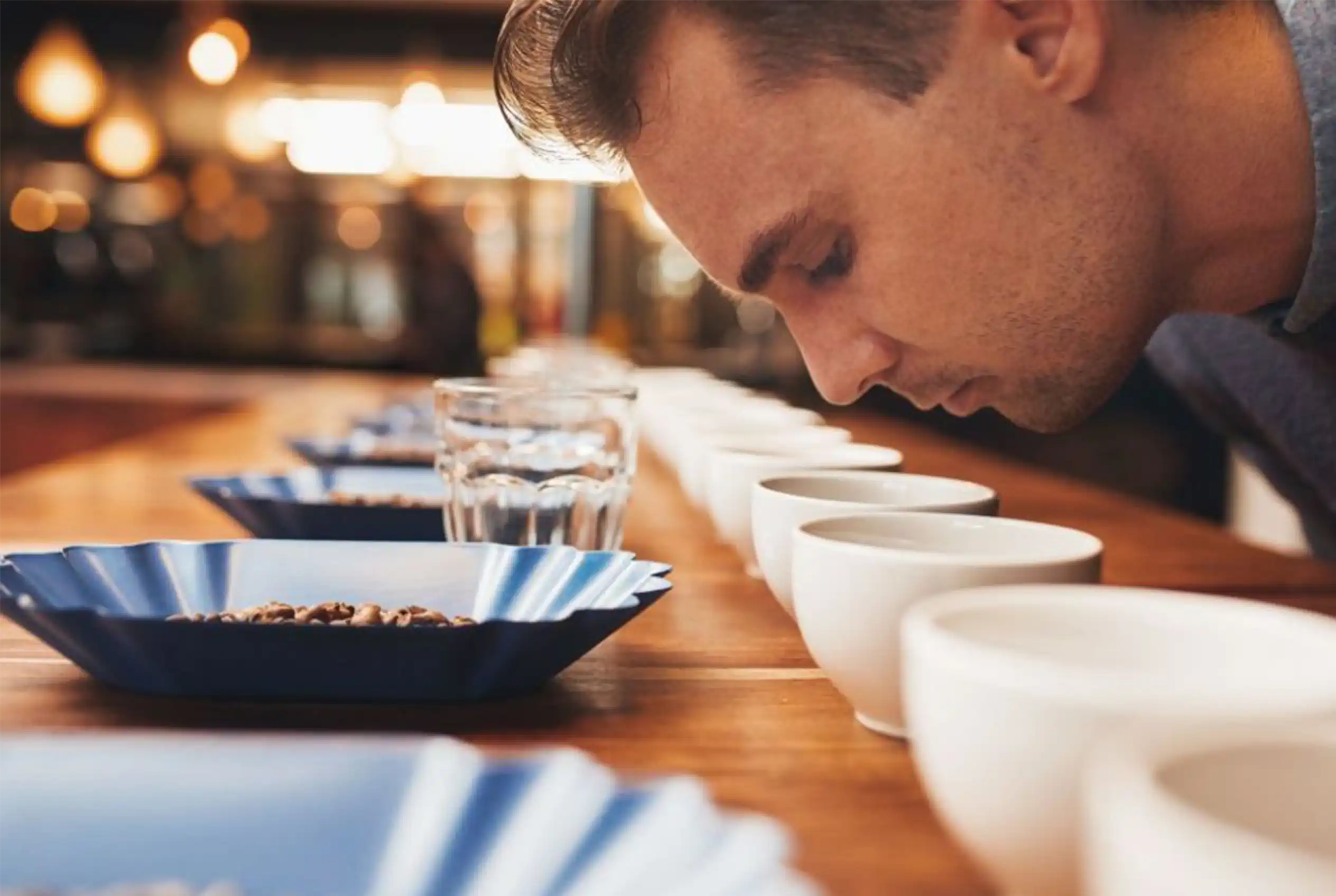 Hombre oliendo tazas de café en una sesión de catación profesional con granos tostados sobre barra de madera.