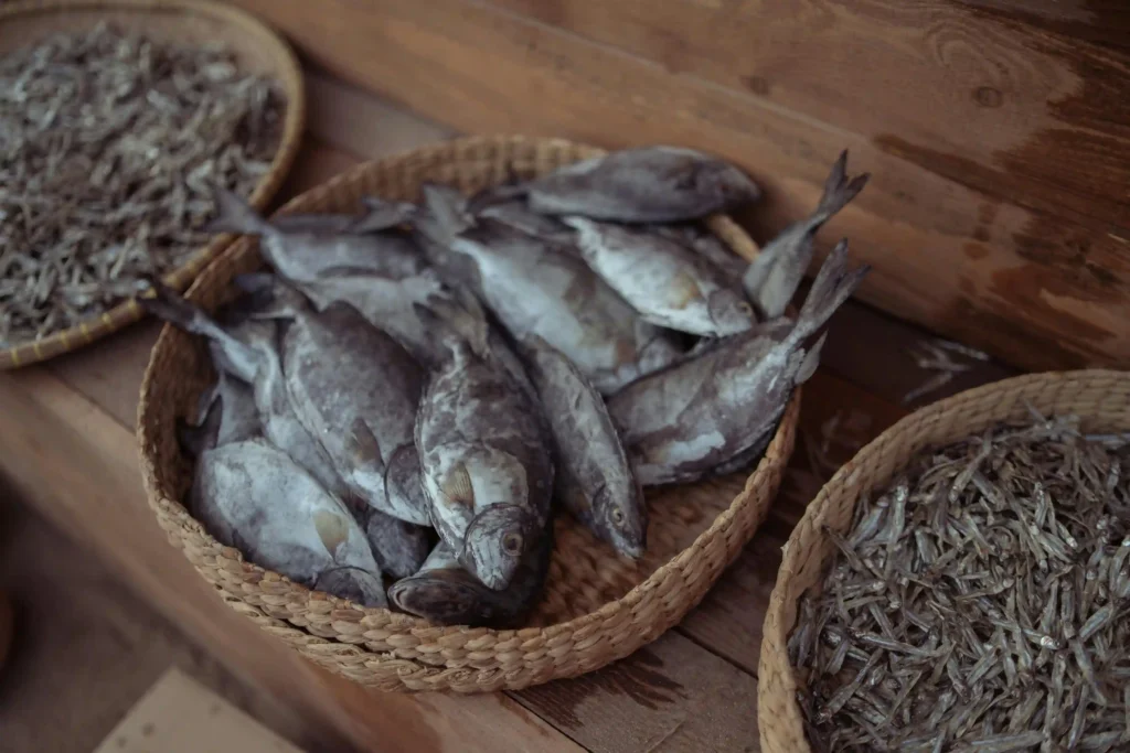 Pescados enteros frescos en canasto de mimbre, insumos de mar para La Makha en Medellín