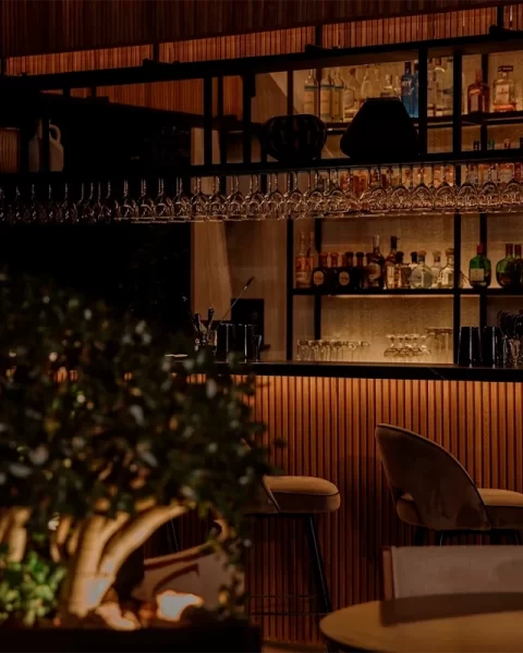 Barra de licores de Etro Rooftop enmarcada por vegetación en un ambiente nocturno íntimo.