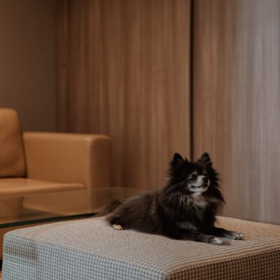 binn-hotel-junior-suite-deluxe