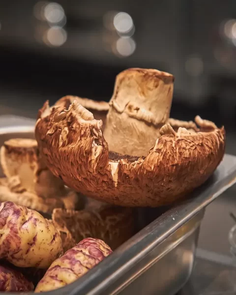 Fresh portobello mushrooms, native Andean tubers, and local chili peppers prepared for farm-to-table cuisine at La Makha restaurant in Medellín.