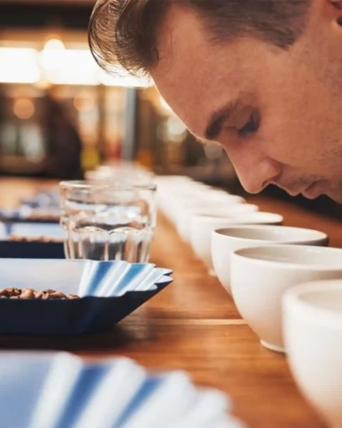 Hombre oliendo tazas de café en una sesión de catación profesional con granos tostados sobre barra de madera.