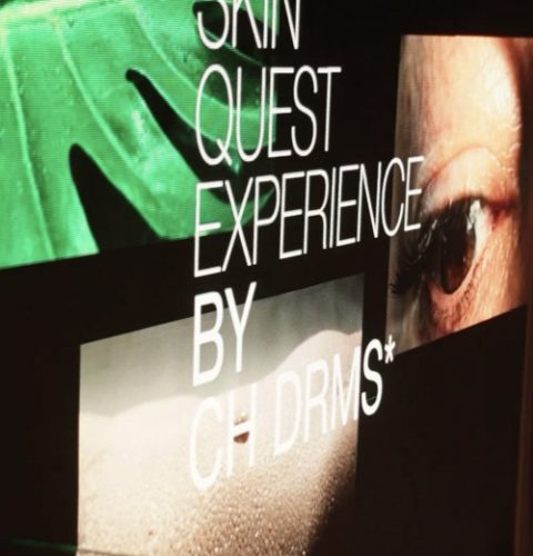 skin-quest-experience skin-quest-experience